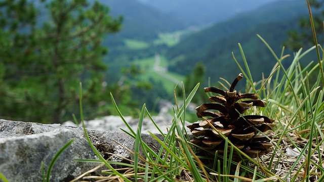 Find Tirzepatide In Ann Arbor