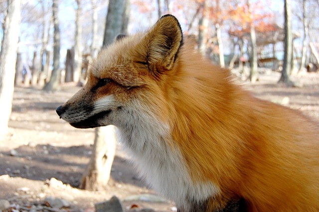 Find Tirzepatide In Grand Rapids-kentwood-muskegon