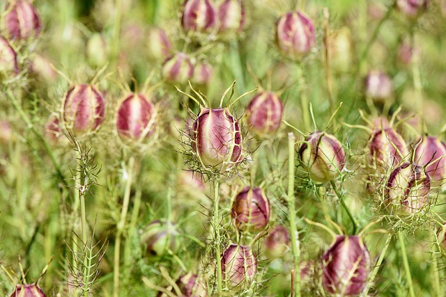 Find Tirzepatide In Lansing-east Lansing