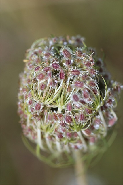 Find Zepbound In Ann Arbor