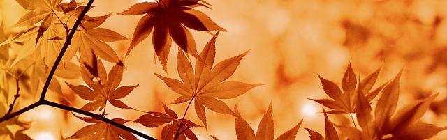 Find Integrative Medicine In Evansville-henderson Ky-in