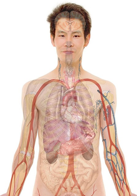 Find Integrative Medicine In Evansville-henderson Ky-in