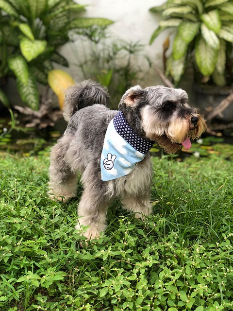 Find Mounjaro In Cleveland