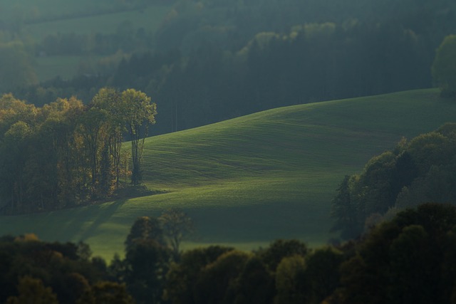 Find Ozempic In Warren-troy-farmington Hills