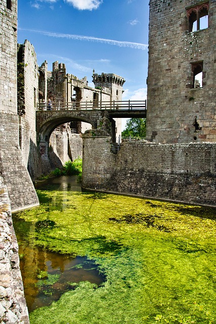 Find Semaglutide In Fort Wayne-huntington-auburn