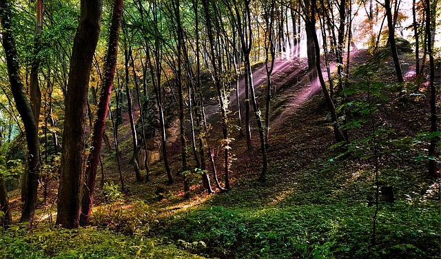 Find Tirzepatide In Lansing-east Lansing