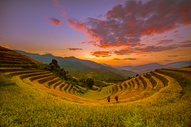 Find Tirzepatide In Warren-troy-farmington Hills