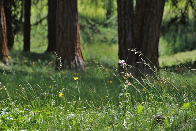 Find Tirzepatide In Warren-troy-farmington Hills