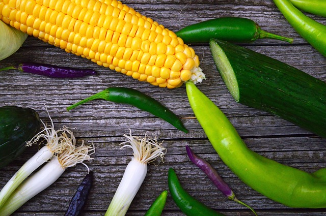 Telehealth Weight Loss Consultations Gary-lake Station