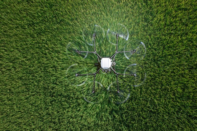 Find Glp 1 In Lansing-east Lansing