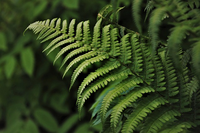 Find Integrative Medicine In Evansville-henderson Ky-in
