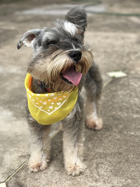 Find Mounjaro In Indianapolis-carmel-anderson