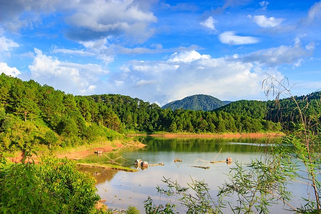 Find Ozempic In Fort Wayne-huntington-auburn