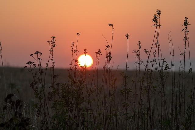 Find Ozempic In Lansing-east Lansing