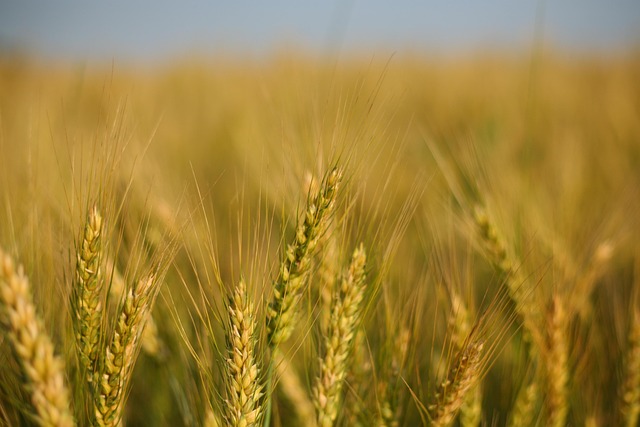 Find Tirzepatide In Evansville-henderson Ky-in