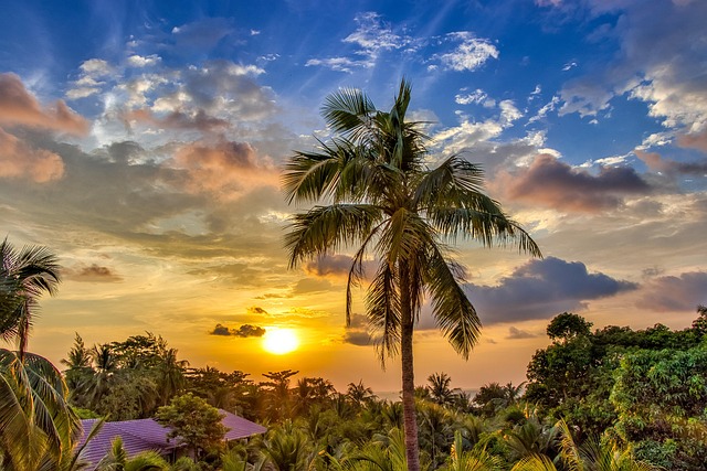 Find Wegovy In Lansing-east Lansing