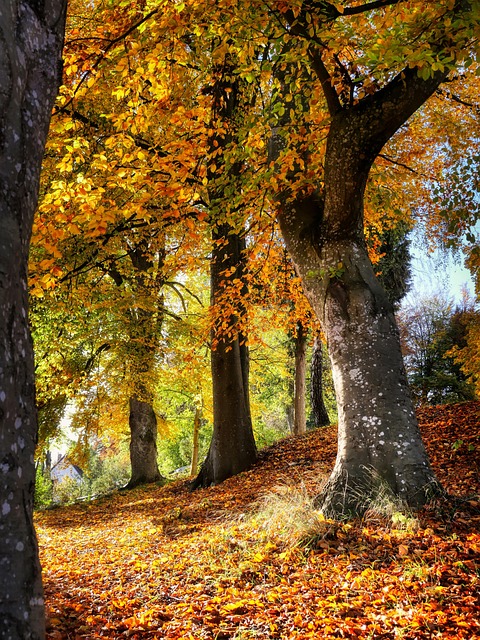 Find Zepbound In Warren-troy-farmington Hills