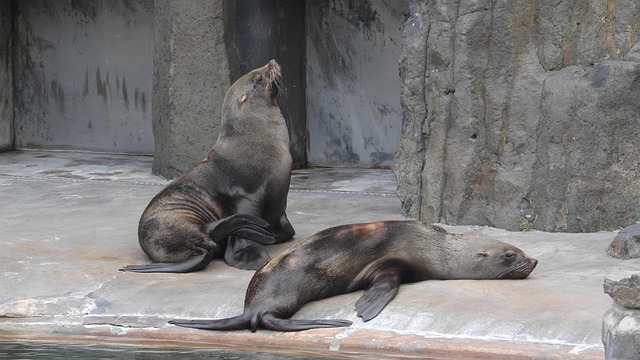 Find Functional Medicine In South Bend-mishawaka In-mi