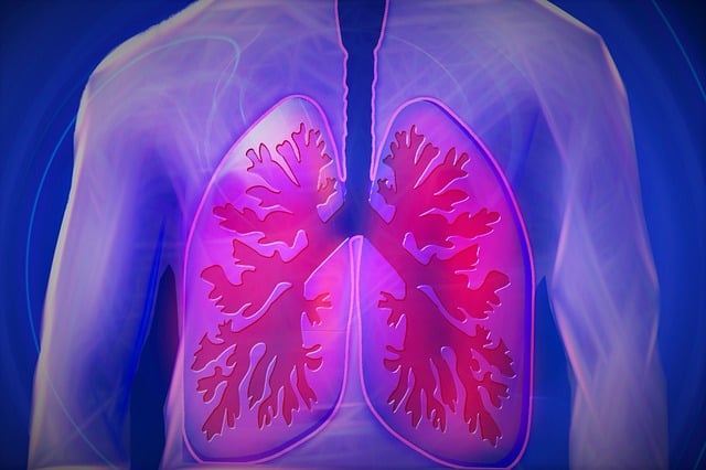 Find Integrative Medicine In Flint-traverse City-bay City