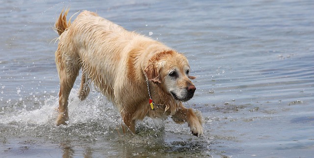 Find Lab Work In Flint-traverse City-bay City