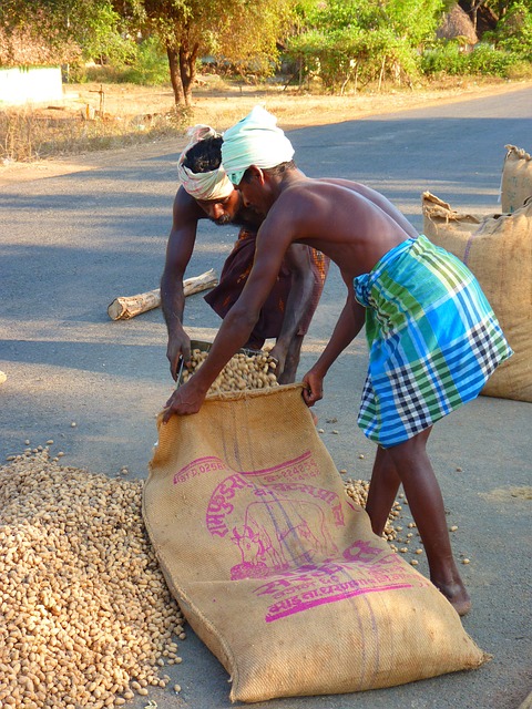 Find Lab Work In Toledo