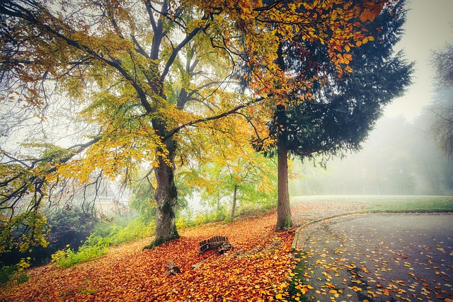 Find Ozempic In Warren-troy-farmington Hills