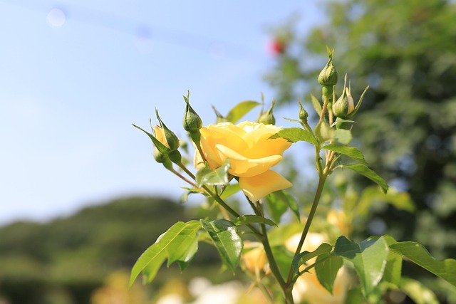 Find Wegovy In Grand Rapids-kentwood-muskegon