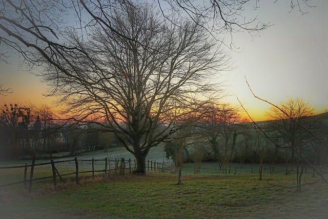 Find Wegovy In Warren-troy-farmington Hills