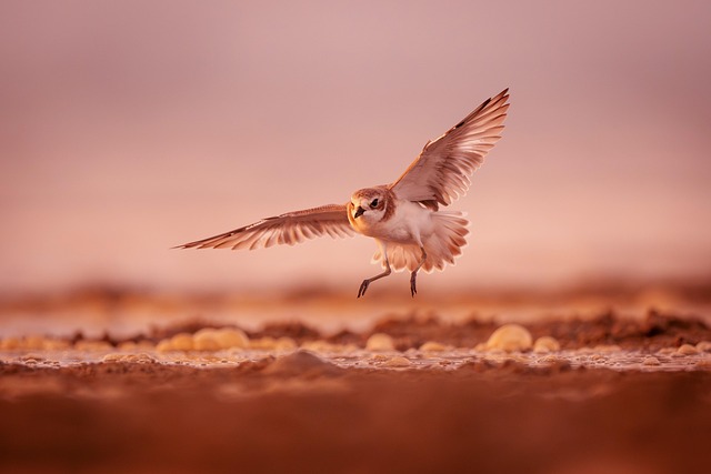 Find Zepbound In South Bend-mishawaka In-mi