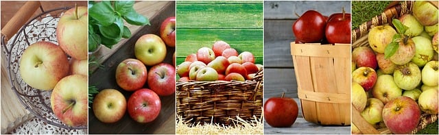 Transform Your Body: Telehealth Weight Loss in Detroit-Livonia-Dearborn